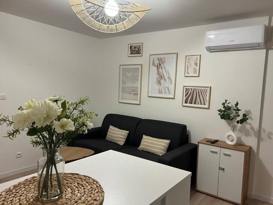 *La Pampa, Studio, Parking, Clim, Hopitaux/Fac* Montpellier Kültér fotó